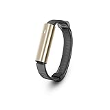 Misfit Ray - Fitness + Sleep Tracker with Black Sport Band (Stainless Steel Gold)