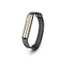 Misfit Ray - Fitness + Sleep Tracker with Black Sport Band (Stainless Steel Gold)