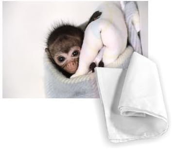 Cute Monkey - Tea Towel 100% Cotton - Art247 - Tea Towel - 46x70cm
