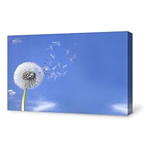 Canvas Wall Art for Living Room,Bedroom Home Artwork Paintings Dandelion Ready to Hang - 12x18 inches