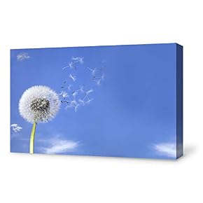 SIGNFORD Canvas Wall Art for Living Room,Bedroom Home...