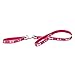 Build a Bear Workshop Promise Pets Pink Dog Leash & Collar Set