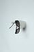 Interior Illusions One Finger Pointing Hand Wall Hook