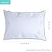 BLISSBURY SpineRight ​Adjustable Water Pillow with Ultra Soft White Cover, Bamboo and Polyester, Queen Size - ​Side​ ​Sleeper, Pregnancy, and Neck Support Pillows - Quilted, Premium, Luxurious Bedding