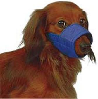 four flags dog muzzle