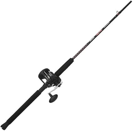 shakespeare ugly stik bigwater spinning combo