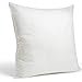 Foamily Premium Stuffer Pillow Insert Sham Square Form Polyester, 26