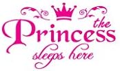 Ecosin Princess Home Decor Removable DIY 3D Wall Decals Mural Art Wallpaper for Room Home Nursery Wedding Party Murals (hot Pink)