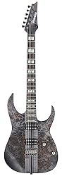 Ibanez RGT1221PBDTF RG Series Premium 6-String Elec