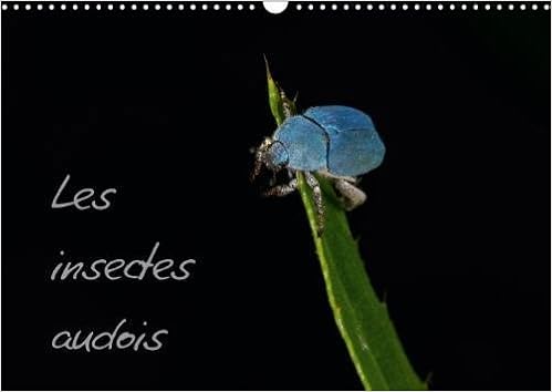 Amazon Les Insectes Audois 2018 Photographies D Insectes Du Departement De L Aude Calvendo Animaux Ache Joffrey Biological Sciences Amazon Les Insectes Audois 2018 Photographies D Insectes Du Departement De L Aude Calvendo Animaux Ache Joffrey Biological Sciences