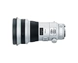 Canon EF 400mm F/4 DO IS II USM Lens