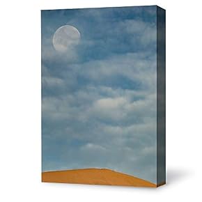 Canvas Wall Art Bright Moon Shining...