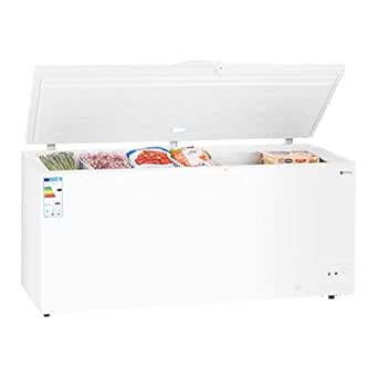 Royal Catering Arcón Congelador Profesional RCFZ-560 (560 ...