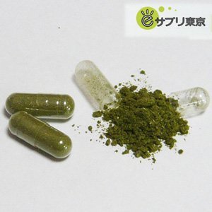 開店祝い その他 90カプセル 175mg Ffd フィーバーフュー ナツシロギク エクレクティック Eclectic 2個セット B01d45pix6 フレッシュアップグレード規格 代引き手数料無料