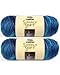 Bulk Buy: Caron Simply Soft Yarn Paints (2-Pack) (Oceana)