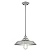 Westinghouse Lighting 6354600 Iron Hill Pendant, 1 Light, Galvanized Steel