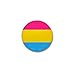 CafePress Pansexual Pride Flag 1