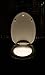 NightLight - Motion Activated Toilet Night Light With 16-Color Changes - Water Resistant LED - Motion Sensor That Only Activates in Darkness, Battery Operated With Energy Saver