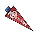 NCAA Ohio State University WCR63931114 Carded Classic Pennant, 12