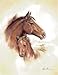 4 Horse Art Prints Mare Pictures Foal Posters Home Decor Interiors