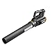 WORX WG960 20-inch 40V(5.0Ah) WG751 Cordless Lawn Mower and WG547.9 Power Share Cordless Turbine Blower
