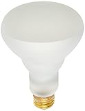 Satco Products S4887 120-Volt 65BR30 Shatter Proof Flood Light Bulb