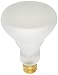 Satco Products S4887 120-Volt 65BR30 Shatter Proof Flood Light Bulb
