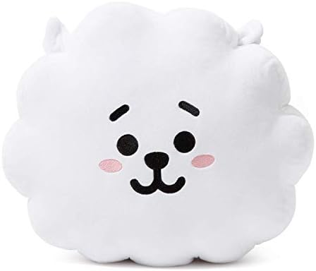 Kpoppinkhouse BT21 BTS Bangtan Boys Throw Pillows Cushion (RJ)