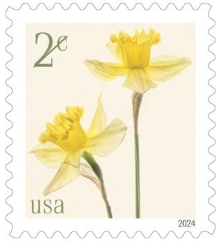 Photo 1 of Daffodils Stamps, Sheet of 20 x 2 Cent US Postage Stamps New by US Post Office