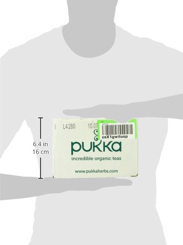 Pukka Organic Tea Bags, Elderberry & Echinacea Herbal Tea, Perfect for Wellness Support, 20 Count (Pack of 6) 120 Tea Bags