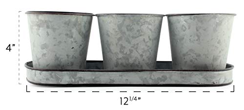 Darware Galvanized Succulent Pot Set (3 Pots with Tray); Farmhouse Flower Tin Pot and Tray Windowsill Planter or Caddy