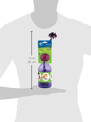 PetSafe Busy Buddy Tug-A-Jug Meal Dispensing Dog Toy, Small