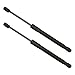 Schnecke 2pcs 7.69