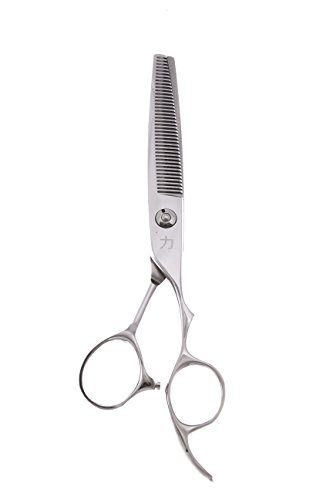 ShearsDirect 40 Tooth Japanese Premium VG-10 Stainless Styling Shear, 6.0 Inch, 10 Ounce