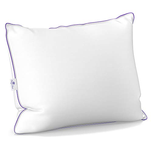 Standard Size Ethical Goose and Duck Down Feather Pillow for Sleeping Hypoallergenic European