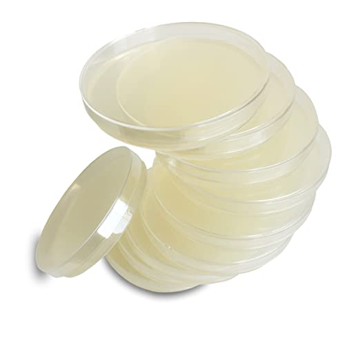 Nutrient Agar Plates by Evviva Sciences, Prepoured Nutrient Agar Petri