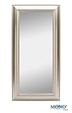 MONOINSIDE Framed Decorative Wall Mounted Mirror, Classic and Vintage Style, Plastic Frame, 24" x 12" Inches, Smooth Silver Finish (Kitchen)