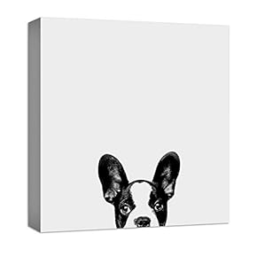 Curious Pets Dog Black and White Painting Artwork...