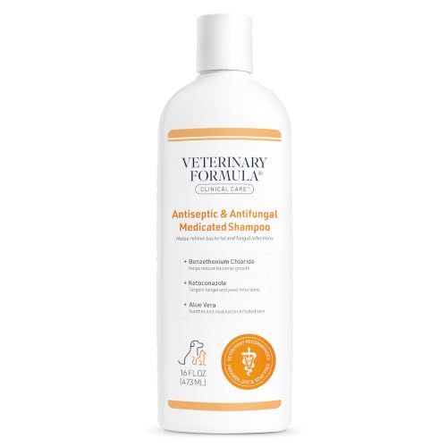 Veterinary Formula Antiseptic Cat Shampoo