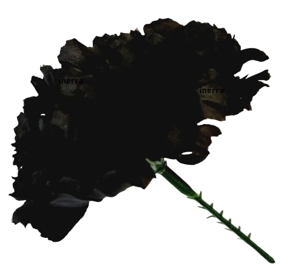 INERRA Carnation Picks - Pack of 140 Artificial Flowers for Floral Foam Tributes, Letters and Funeral Arrangements (Black)