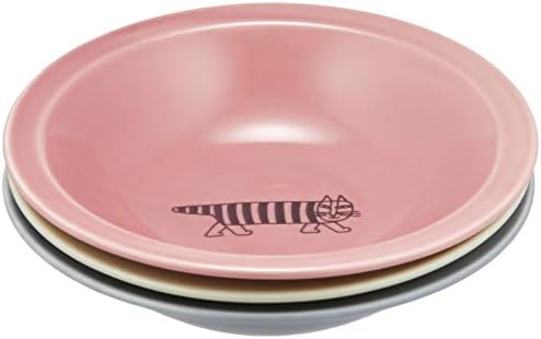 11 月 の リサ 大森