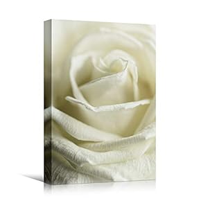 signwin Canvas Wall Art White Petal Close Up...