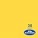 Savage Seamless Paper Photography Backdrop - Color #38 Canary, Size 53 Inches Wide x 36 Feet Long, Backdrop for YouTube Videos, Streaming, Interviews and Portraits - Made in USA