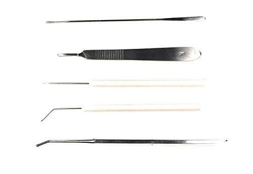 image for 20 Pcs - Stainless Steel Biology Lab/ Anatomy/ Medical Student Dissect