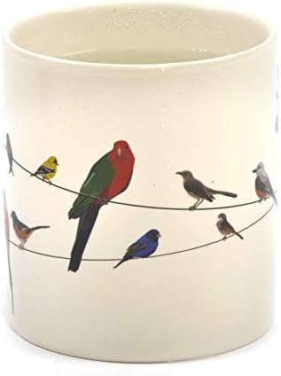 Birds on a Wire Heat Changing Mug – Add Coffee or Tea and Colorful Birds Appear – Comes in a Fun Gift Box Birds on a Wire Heat Changing Mug – Add Coffee or Tea and Colorful Birds Appear – Comes in a Fun Gift Box