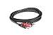 Hosa CMR-206 Stereo Breakout, 3.5 mm TRS to Dual RCA, 6 Feet