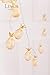 Ling's moment Novel Gold Metal Mesh Pineapple LED Lantern String Lights Battery Powered for Outdoor Wedding Party,Fairy's Camping Tent Decor (Warm White)