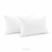 WEEKENDER Alternative Hotel Quality 100% Cotton Cover-Soft Hypoallergenic Pillow-2 Pack-(13