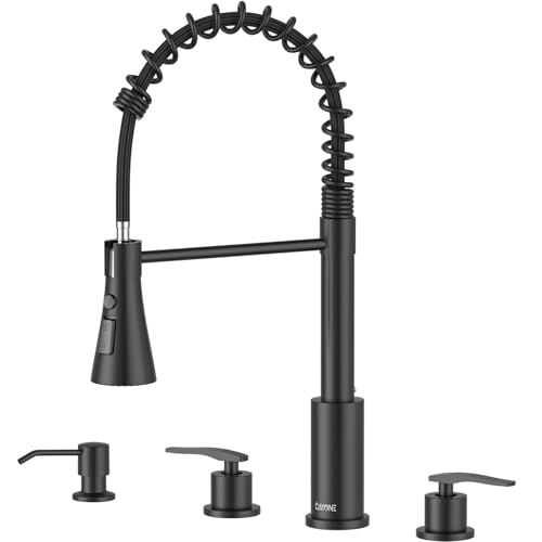 DAYONE 4 Holes Kitchen Faucet Matte Black