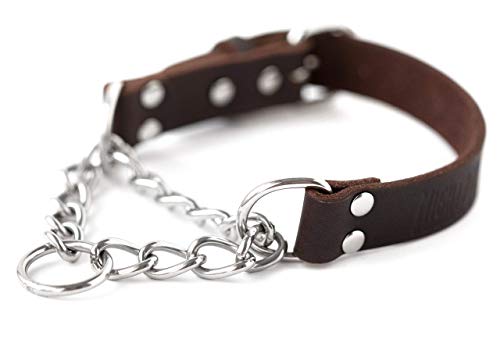 Mighty Paw Leather Martingale Collar